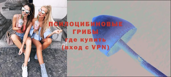 прущие грибы Алексеевка