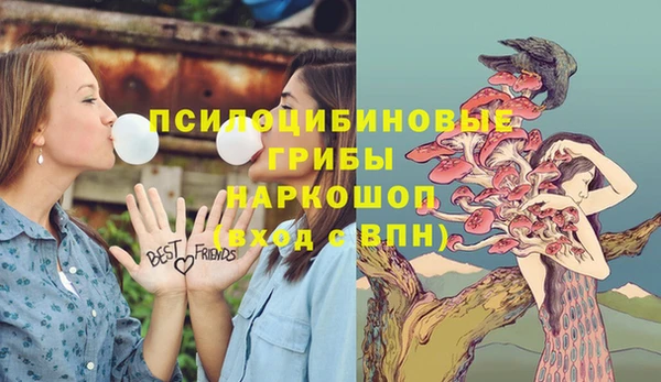 прущие грибы Алексеевка