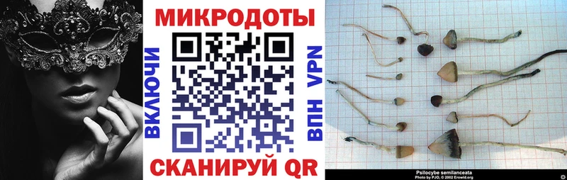 Псилоцибиновые грибы Magic Shrooms  Билибино 